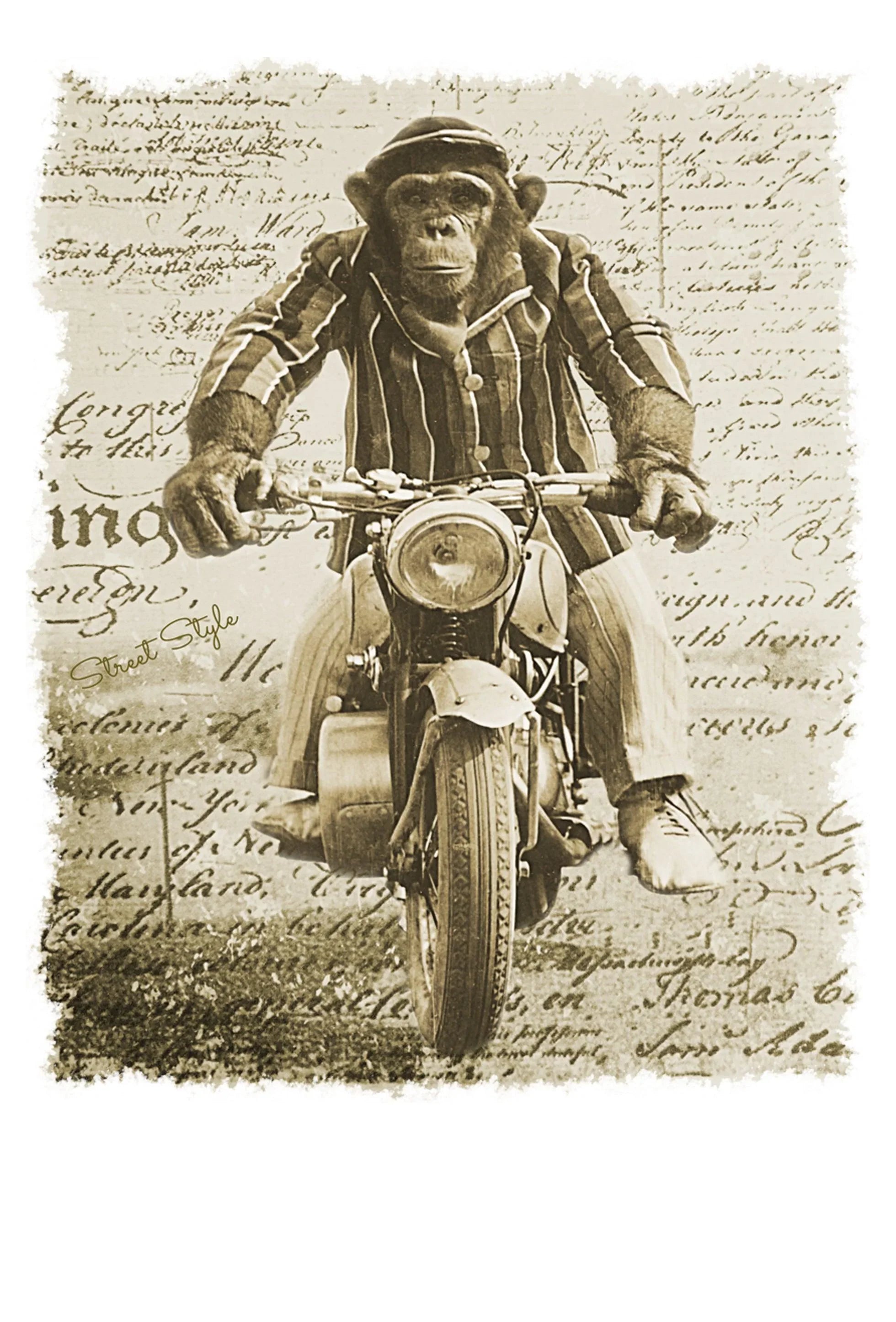 Street Style Monkey Dream Moto T-shirt for men, 100% cotton with urban design featuring a monkey and artistic elements.